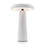 Аккумуляторный светильник Freya FR6109TL-L4W, фото 3